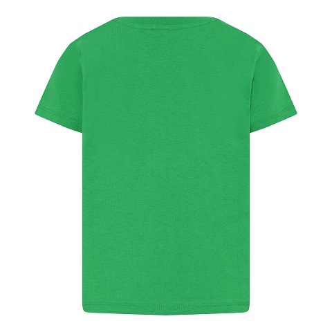LEGO T-shirt Ninjago GREEN (LWTAYLOR 206 - Size 104) | 5700068263618 |  BRICKshop - LEGO en DUPLO specialist